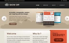 Web漏洞扫描工具